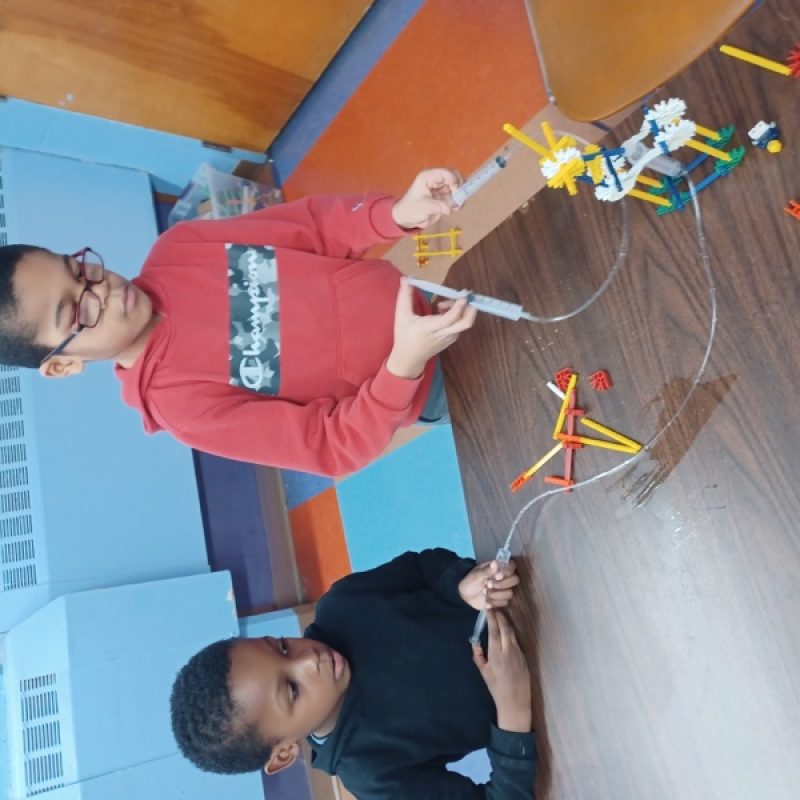 image12